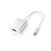 DTECH TYPE C TO 4K HDMI CONVERTER (DT-2912)