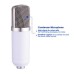 BM-700 Condenser Sound Recording Microphone